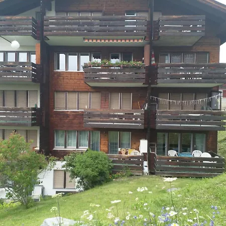 Schoene Und Moderne Apartamento Grächen